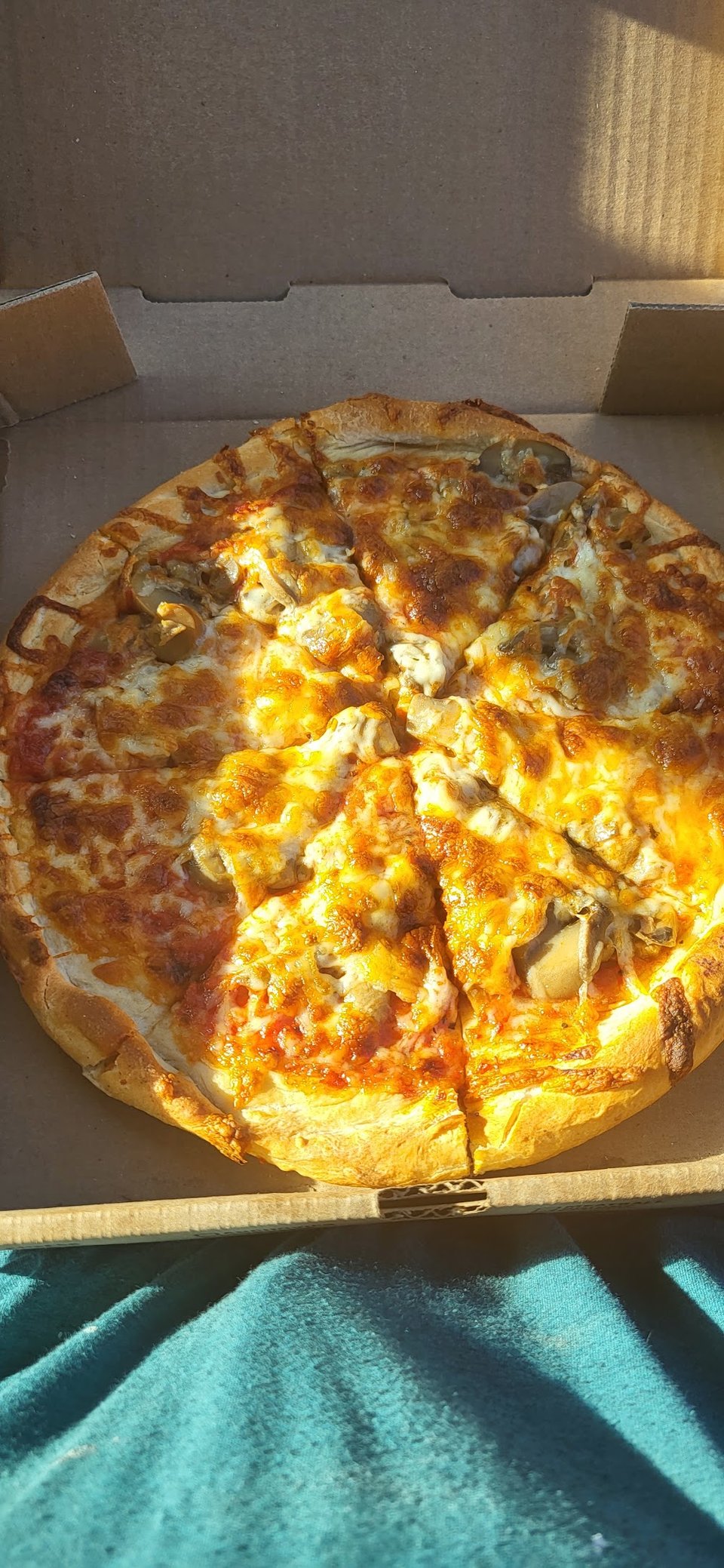 Mushroom Pizza